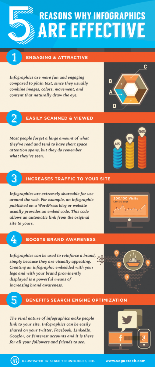 infographic vs infographics